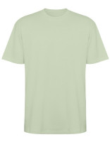 Mist Green 264